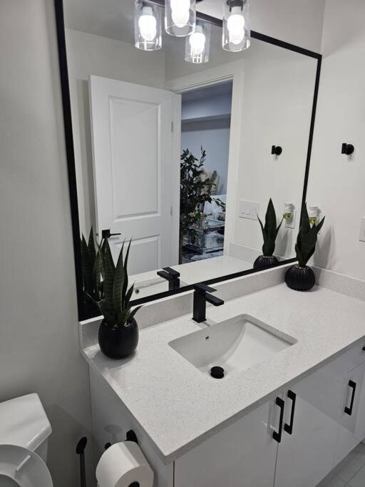 Comfort Guest Ne - Near Airport * Calgary